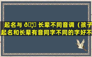 起名与 🦊 长辈不同音调（孩子起名和长辈有音同字不同的字好不）